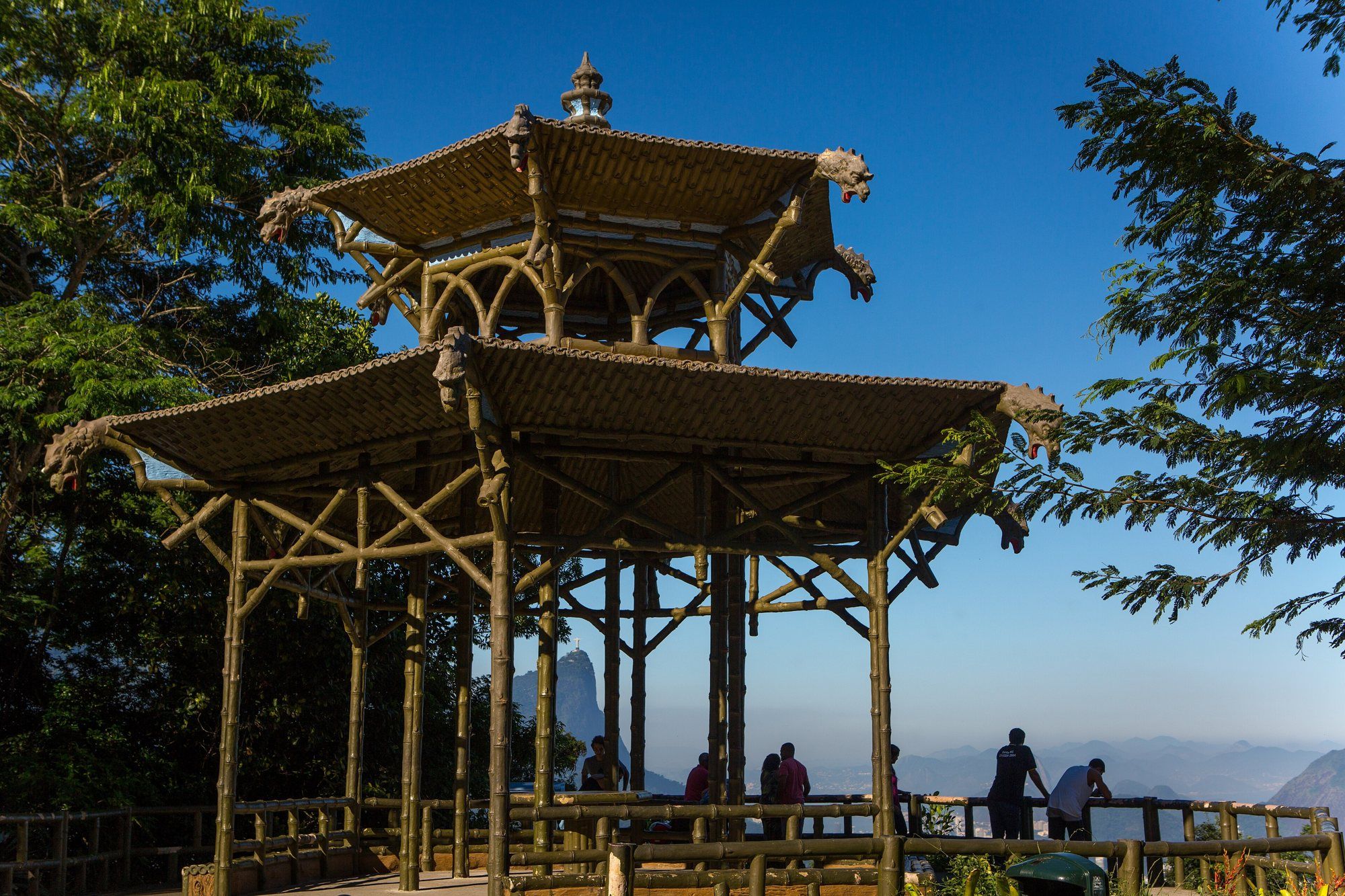 Forest and hikes · Rio de Janeiro photo album